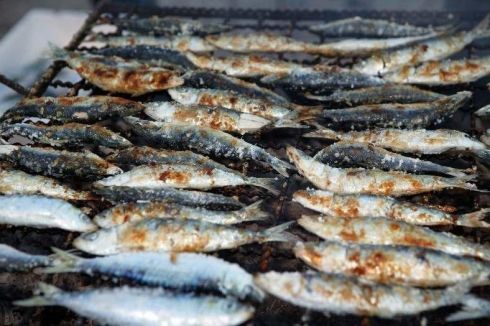 Onde comer as melhores sardinhas