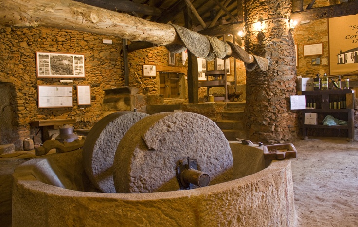Lagares e museus do azeite