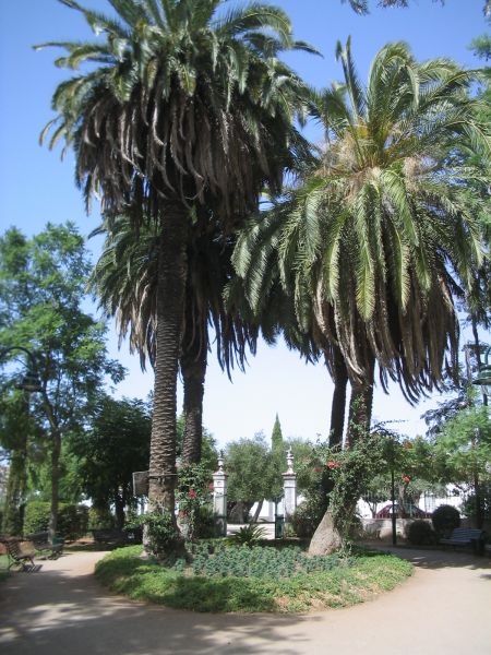 Jardim Municipal de Serpa