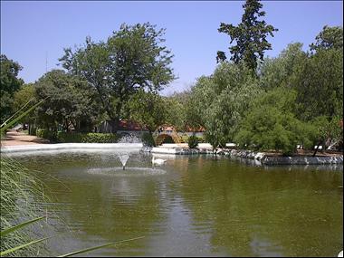 Lago do Jardim público de Beja