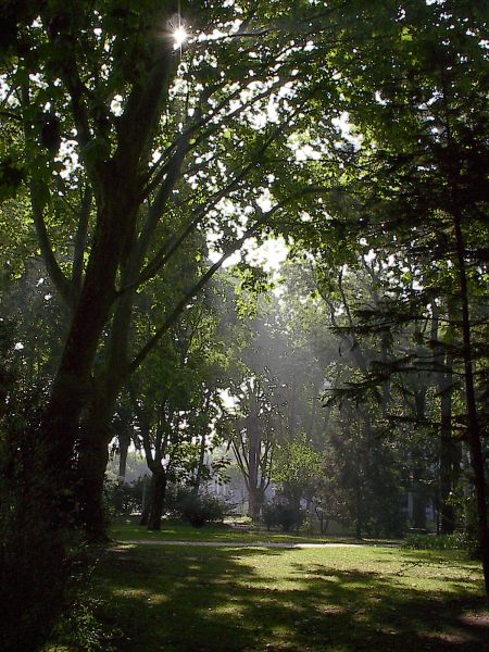 Parque do Bonfim
