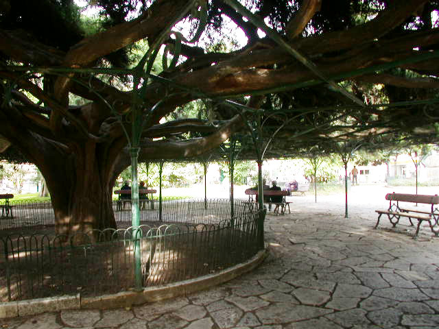 Jardim do Príncipe Real