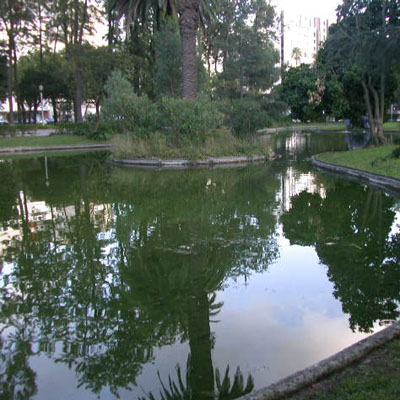 Jardim do Campo Grande 