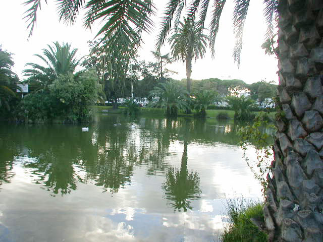 Jardim do Campo Grande 