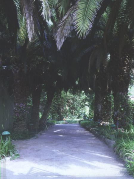 Parque Botânico do Monteiro-Mor 