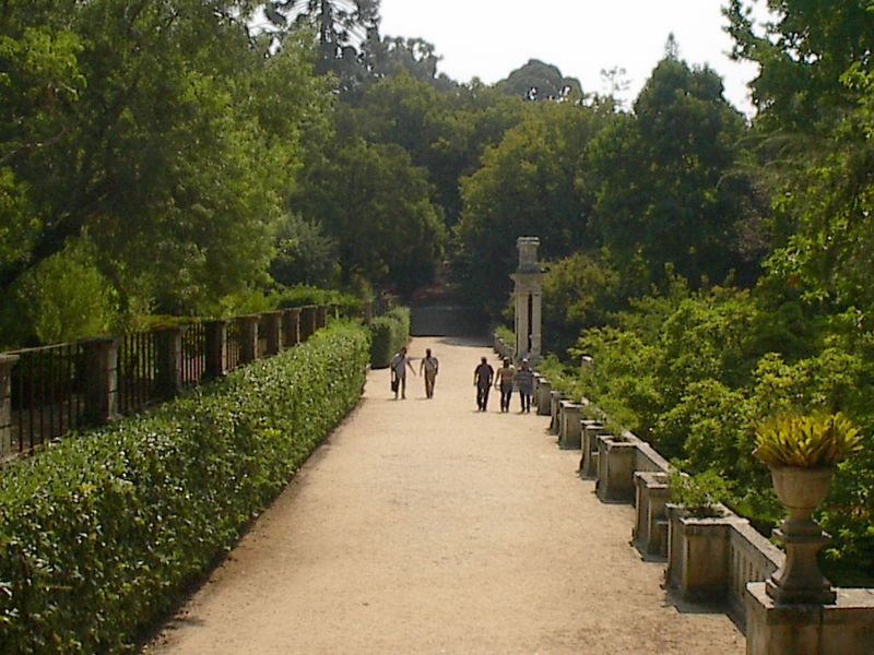 Jardim Botânico da Universidade de Coimbra
