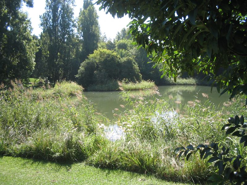 Jardim Gulbenkian - Lago