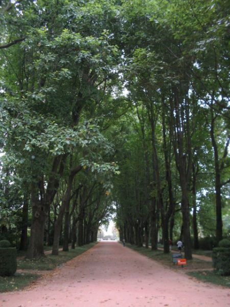 Parque de Serralves