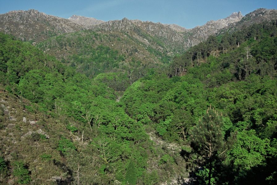 Parque Nacional da Peneda Gerês