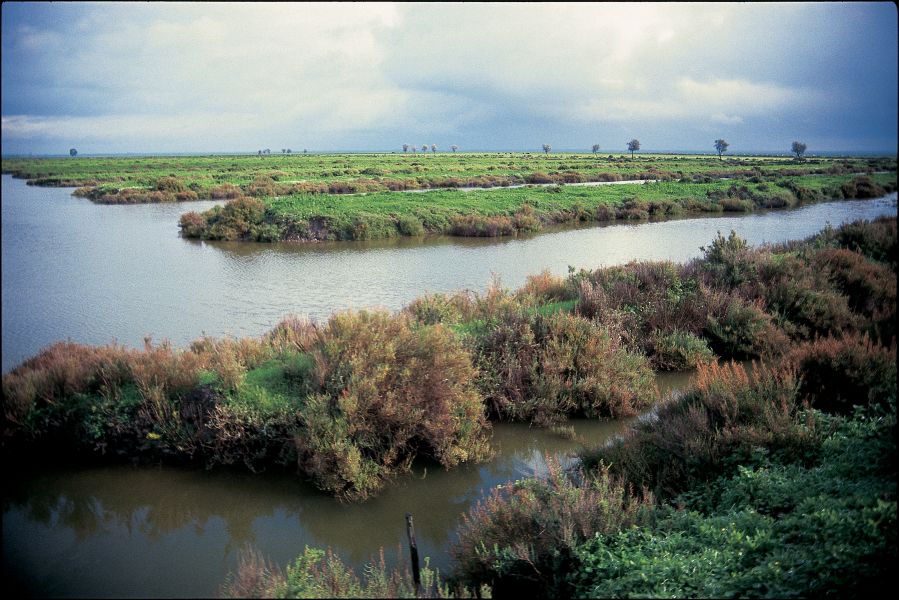 Reserva Natural do Estuário do Tejo