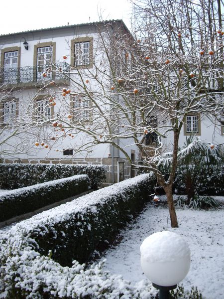 Casa das Tílias - jardim com neve
