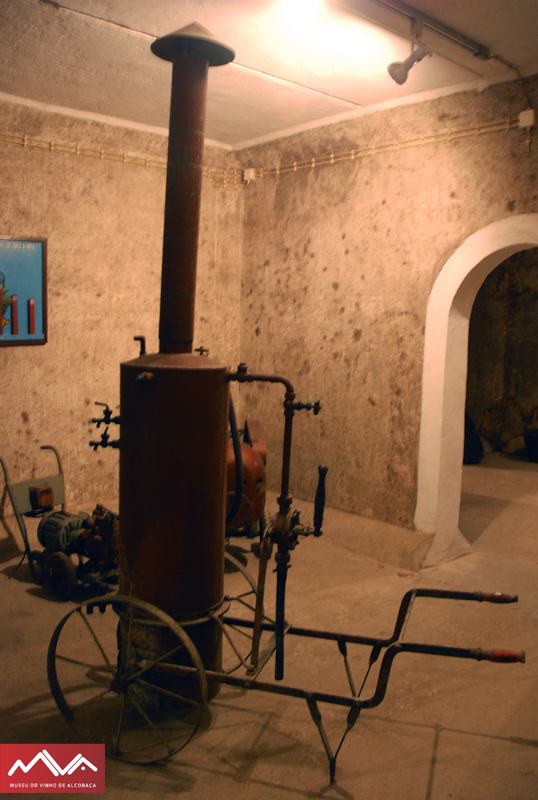 Museu do Vinho de Alcobaça