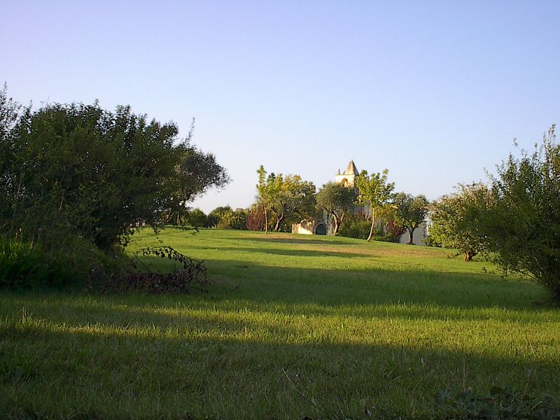 Jardim do Castelo de Montemor