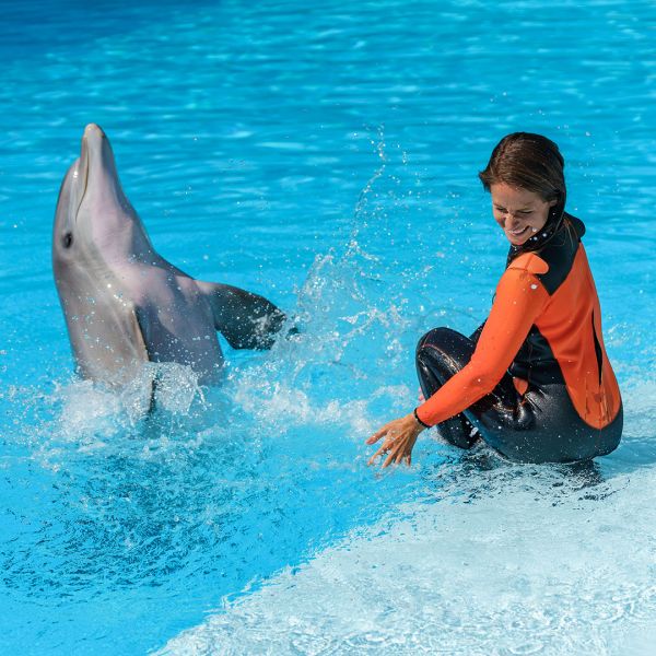 Zoomarine - Show Golfinhos