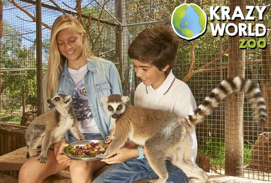 Krazy World Zoo