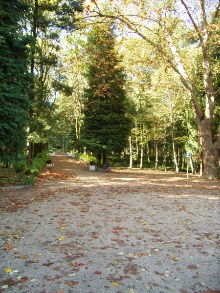 Termas de Melgaço - Parque Termal (alameda com árvores)