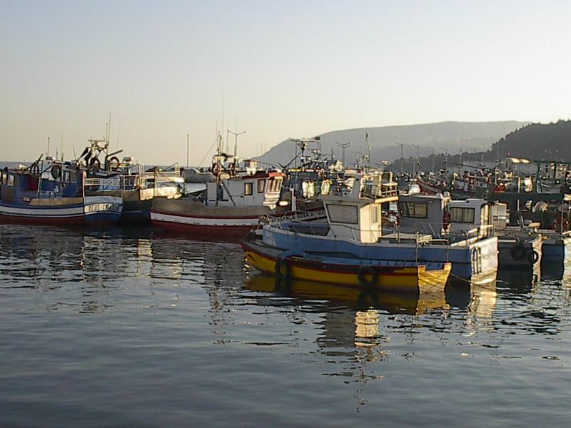 Porto de Setúbal - Barcos