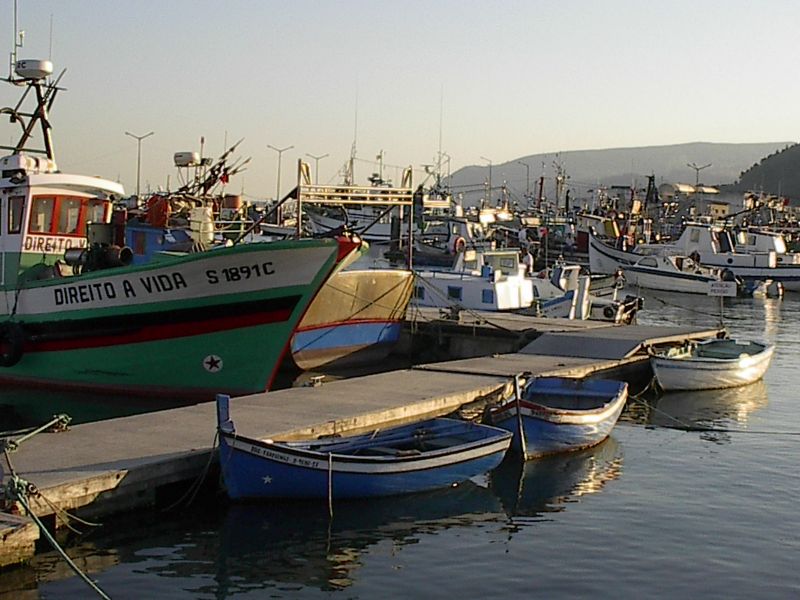 Barcos no Porto de Setúbal