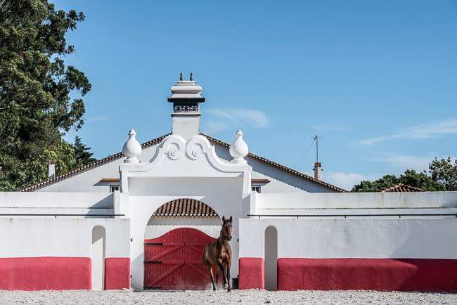 Centro Equestre Quinta da Fonte Santa