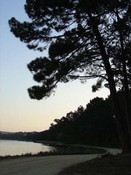 Lagoa de Óbidos