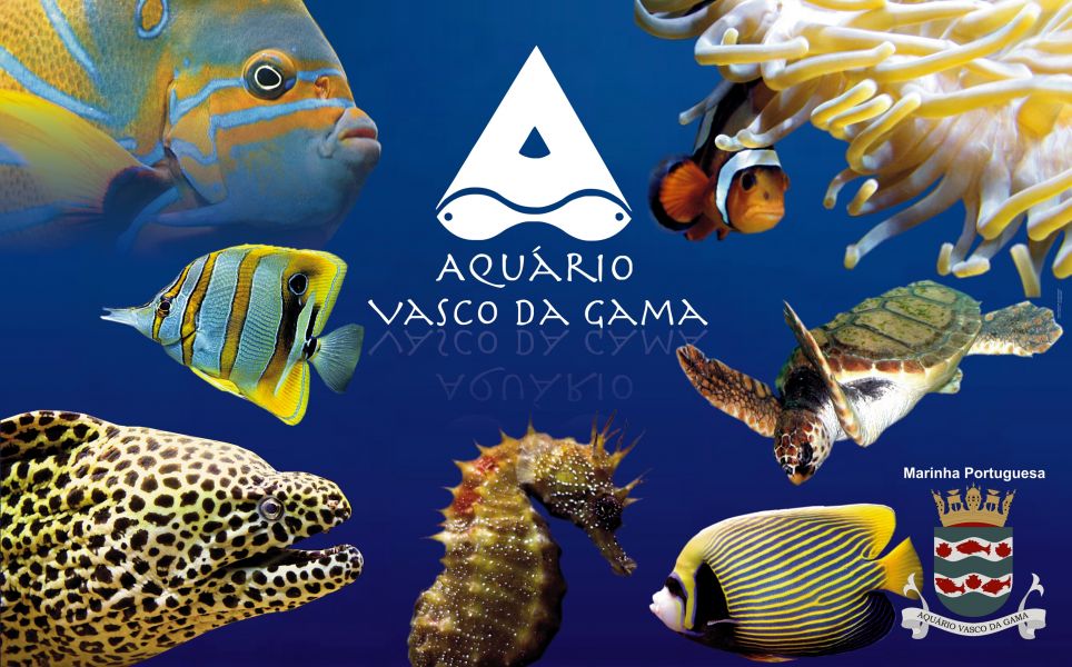 Aquário Vasco da Gama - maquete logo