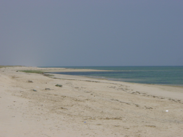 Praia da Armona