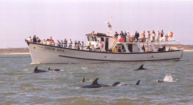 Nautur - Golfinhos do Sado