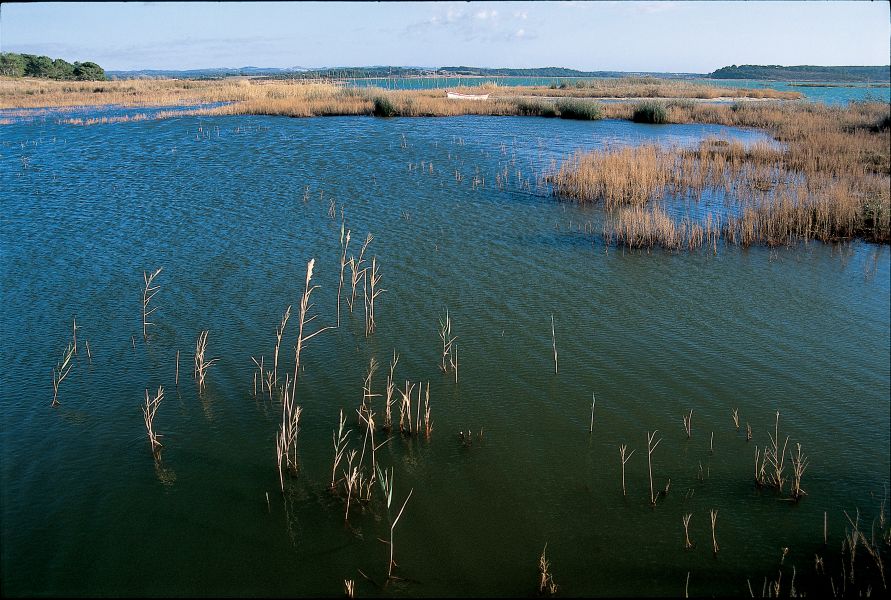 Reserva Natural das Lagoas de Santo André e da Sancha