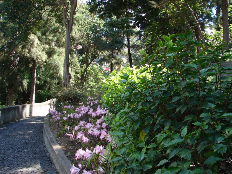 Jardim Quinta Magnólia