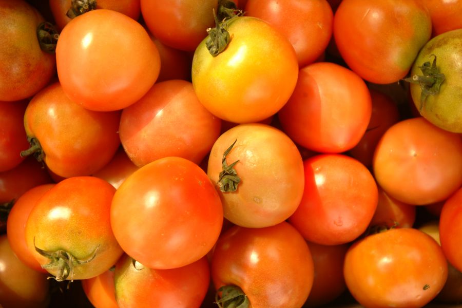 Mercado Saloio de Cascais - tomates