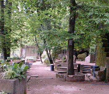 Parque dos Castanheiros