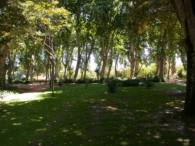 Parque do Mouchão