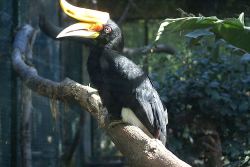 Zoo Lourosa - Parque Ornitológico de Lourosa