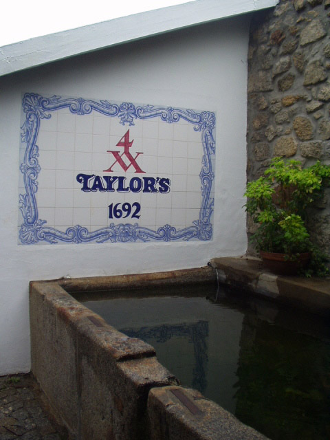 Caves Taylor´s 