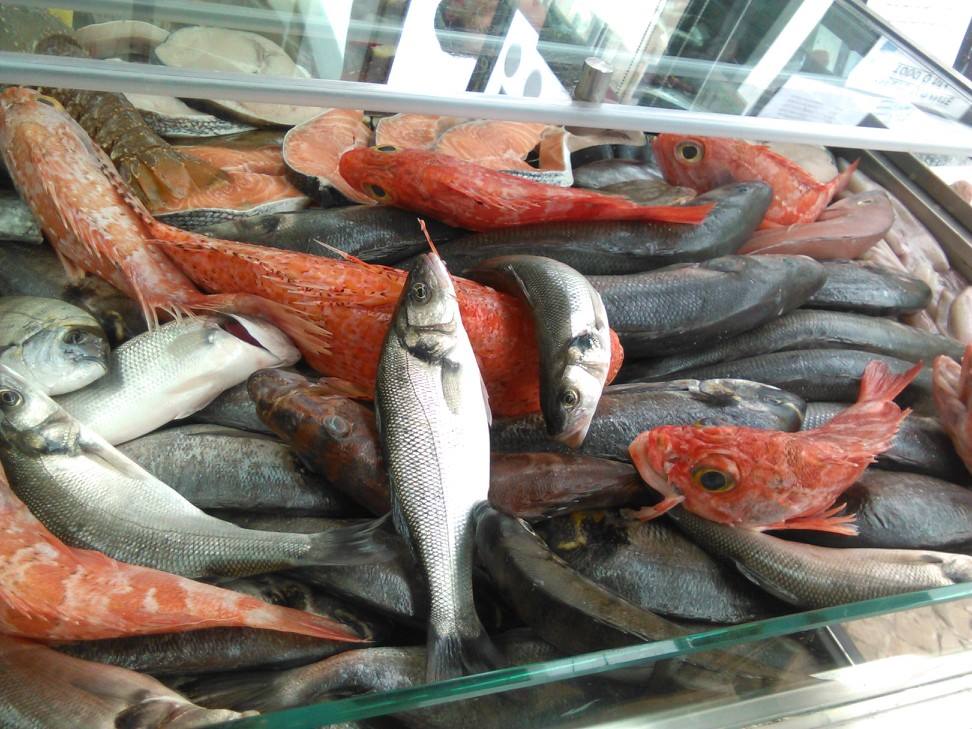 Restaurante Popular - peixe fresco