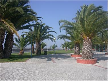 Jardim do Largo Barão de Samora Correia
