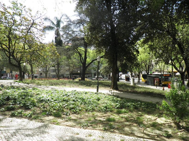 Jardim Cesário Verde 