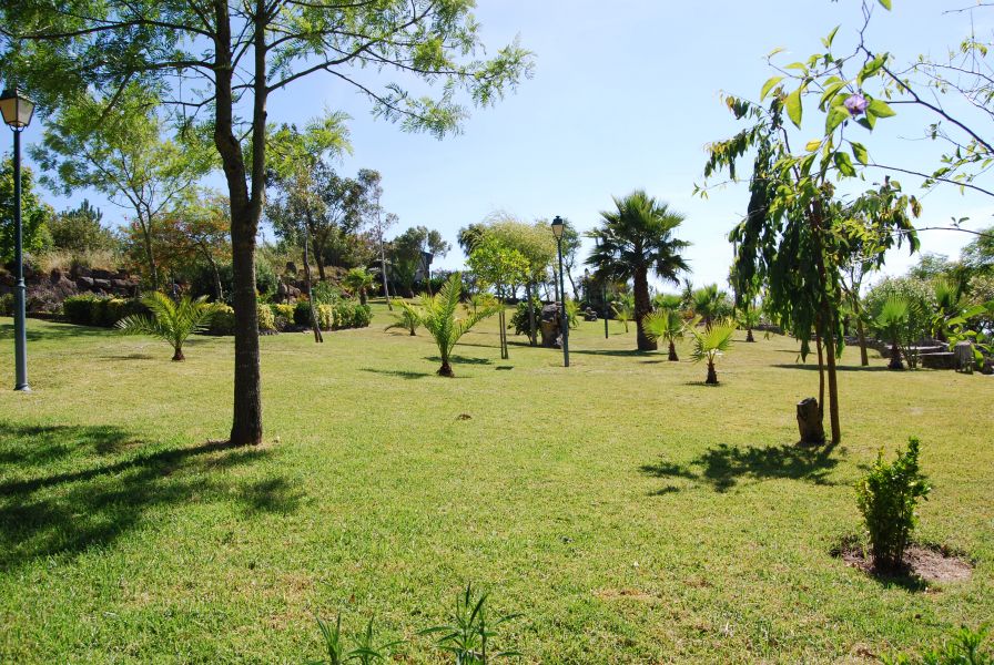Parque da Fonte Lima