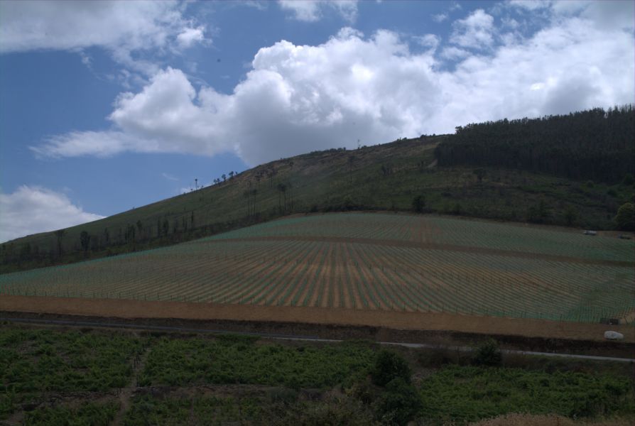 Pinhão Agricola - Vinhas do Douro