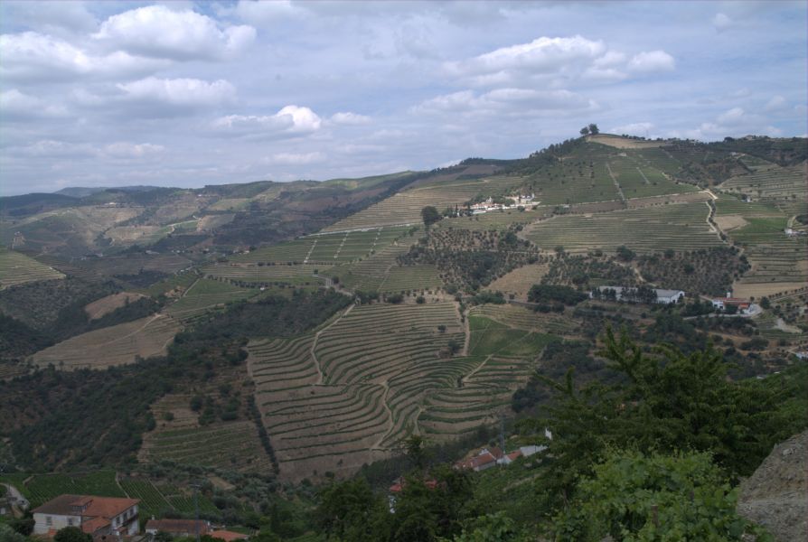 Pinhão Agricola - Vinhas do Douro