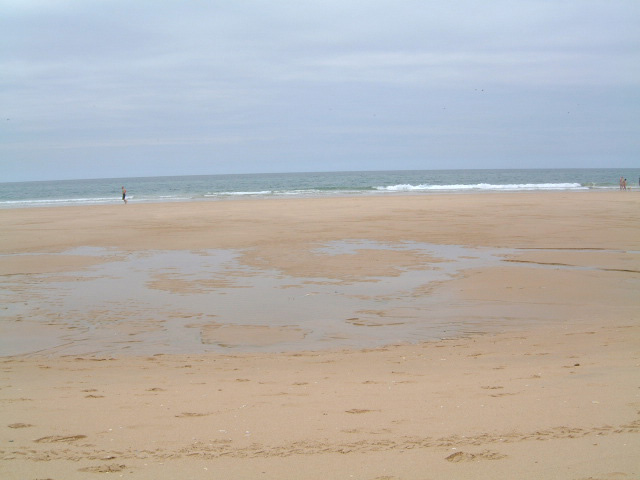 Praia do Dezanove
