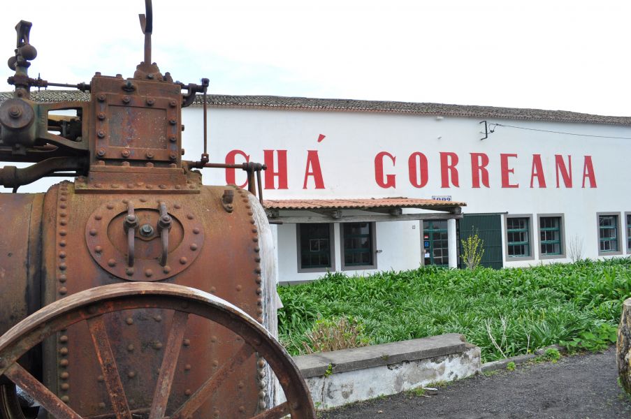 Fábrica de Chá Gorreana