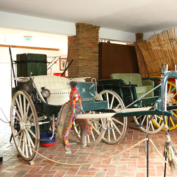museu rural