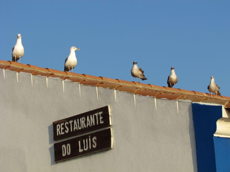 Restaurante do Luís