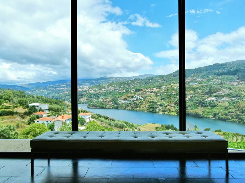 Hotel Douro Palace- piscina