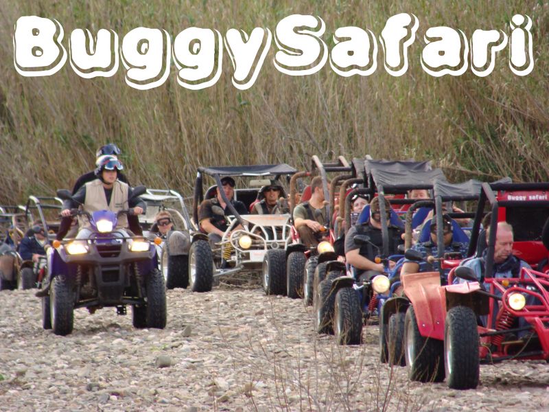Buggy Safari