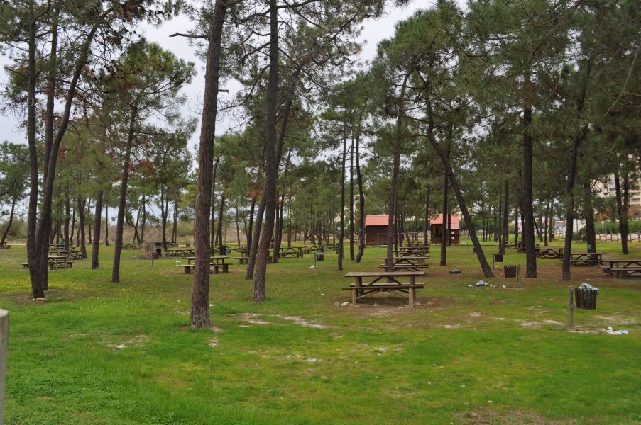 Parque de Merendas da Mata Nacional das Dunas Litorais de Vila Real de Santo António