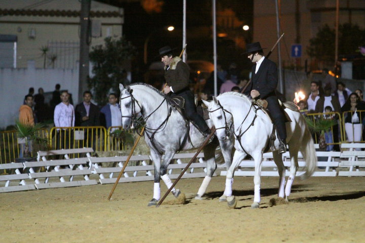 Festa do Cavalo de Porto Salvo