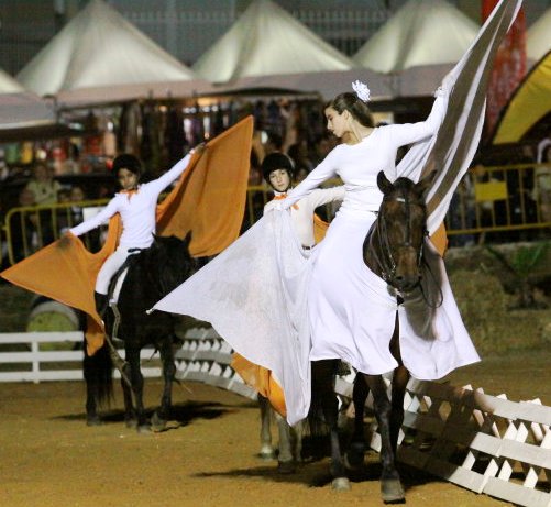Festa do Cavalo de Porto Salvo