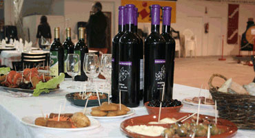 Festa da Vinha e do Vinho